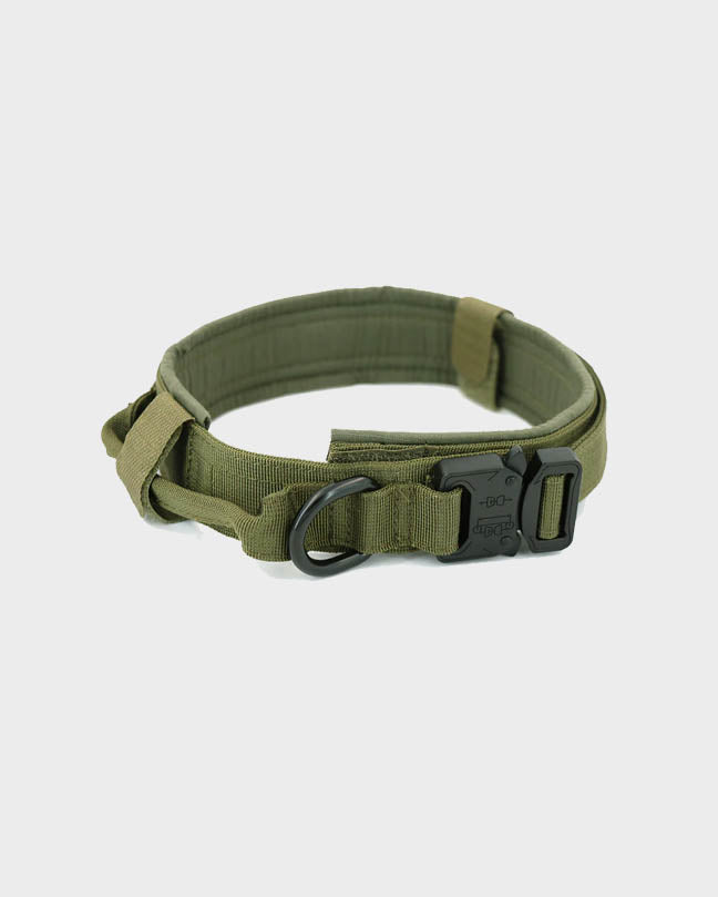 Brown Military Pet Collar