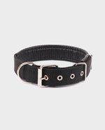 Black Signature Pet Collar