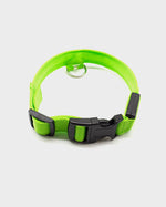 Green Glow in the Dark Pet Collar