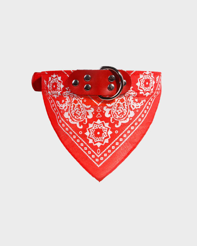 Red Pet Bandana Collar