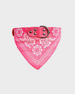 Pink Pet Bandana Collar